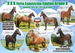 XXX  Feria Exposición Equina Salamina 2013