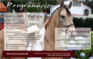 Programacion