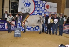 feria_nacional_cebu2