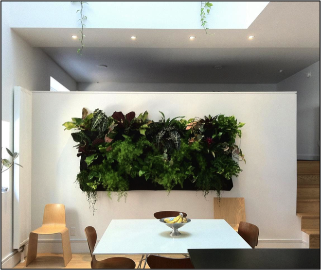 2) Jardin vertical interior