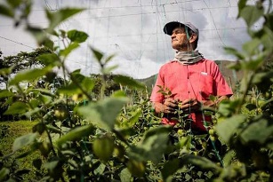 Colombia vende