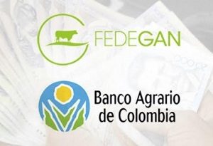 Convenio Fedegan Banco Agrario