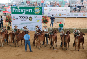 Feria nacional cebu 2019