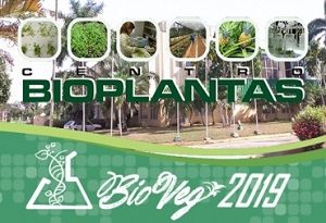 bioveg_2019_cuba_bioveg