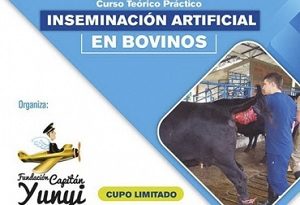 inseminacion artificial