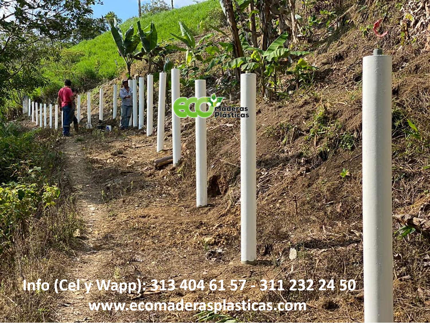 Postes plásticos en cerca de alambre