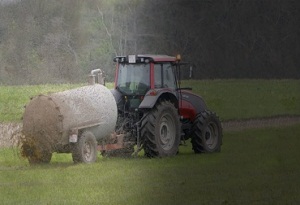 Biofertilizantes