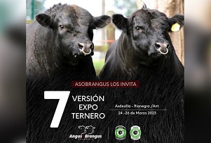 Expo Terneros 2023