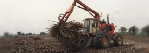 Agrobioemprendimiento