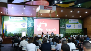 Cumbre láctea panamericana