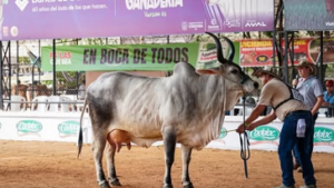 Feria agropecuaria de Sincelejo