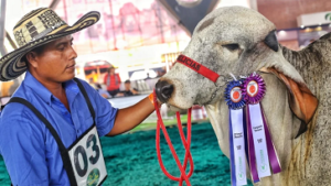 79ª Feria Nacional Cebú.