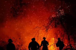 Incendios forestales