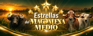 Estrellas del Magdalena Medio