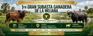 La Mojana