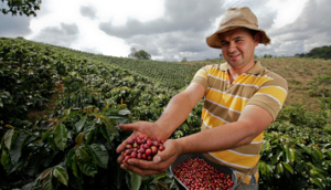 El café de Colombia