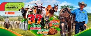 Feria ganadera de Tame