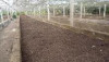 1294166778_153590200_5-humus-de-lombriz-Compra-Venta