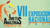 Jinetes y amazonas