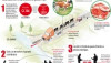 infografiaganado