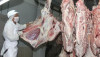 exportacion-de-carne