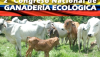 ganaderia ecologica