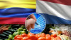 Colombia Holanda
