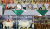 Feria Nacional