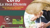 La Vaca Eficiente