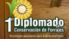 Conservacion de forrajes