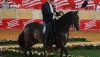 Paso Fino Colombiano