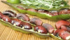 Chachafruto