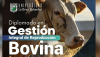 Reproduccion bovina