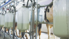Contaminacion bacteriana