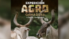Expedicion agroganadera