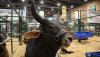 Remates en Agroexpo 2025