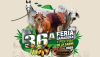 Feria ganadera de Tame