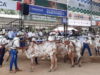 63ª Feria Nacional de la Ganadería del 13 al 23 de junio