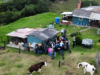 Curso de BPG en Cundinamarca