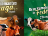 Genética bovina. Remates en Agroexpo 2025