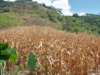 Fenalce en Expo Agrofuturo 2025