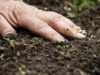 Materia orgánica del suelo. Cómo incrementarla