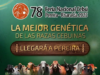 78ª Feria Nacional Cebú en Pereira