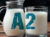 Leche A2. ¿Por qué vale la pena producirla?