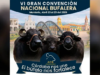 Convención Nacional Bufalera en Montería del 23 al 25 de abril