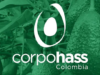 Corpohass. 13 años impulsando el aguacate Hass en el mundo