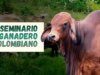 Seminario ganadero surcolombiano el 22 de mayo de 2026