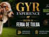 Gyr Experience. Taller práctico de selección y juzgamiento