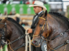 Expointernacional Equina 2026 en la Feria de las Flores