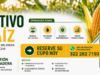 El cultivo de maíz. Curso virtual del 22 al 31 de julio de 2026